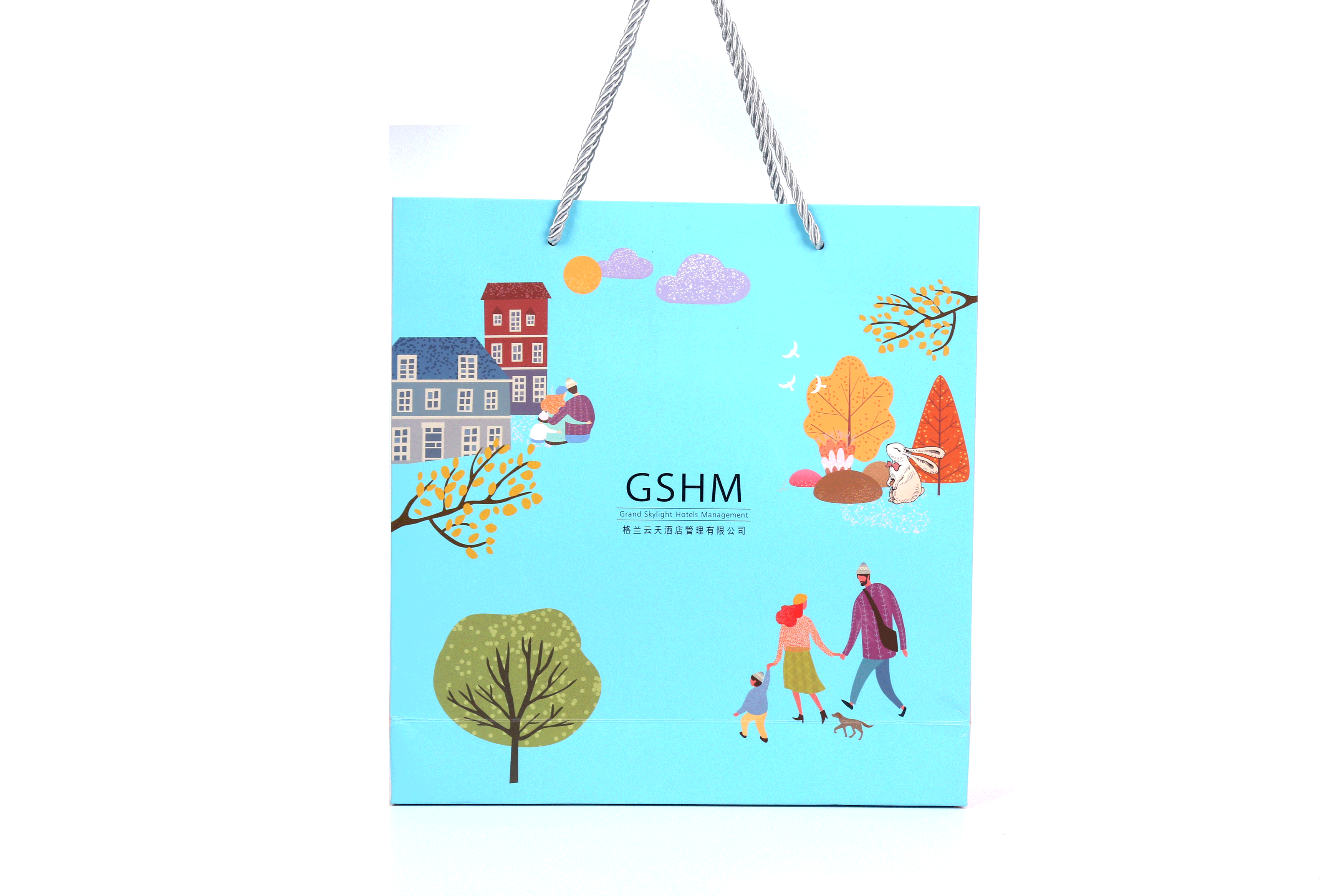 Customized logo and design printing paper bag with robbon handle